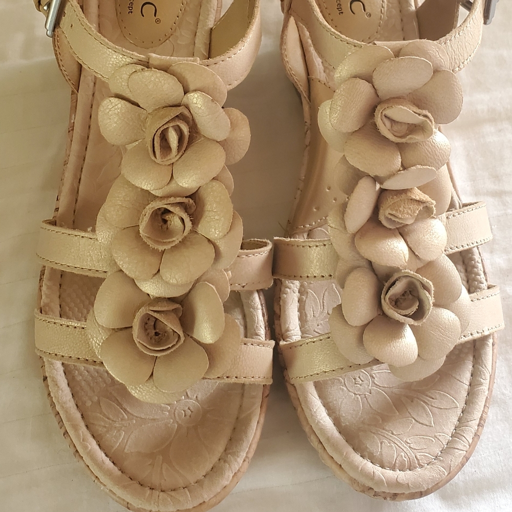 B.O.C. Wedges